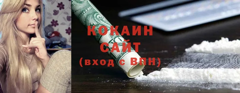 мега ссылка  купить наркотики цена  Кудрово  Cocaine FishScale 